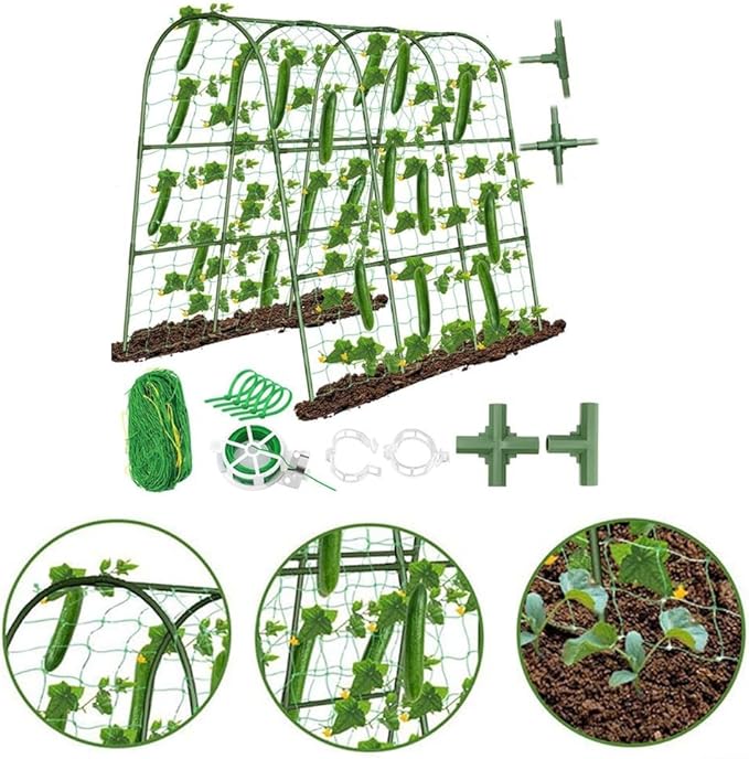 Functional U Shape Garden Trellis Reliable Support for Climbing Plants with Easy Assembly Instructions
