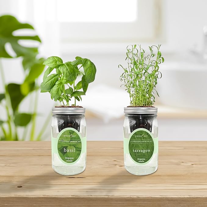 2-Pack Hydroponic Mason Jar Herb Garden Kit Indoor Herb Garden Self-Watering Starter Kit (BasilTarragon)