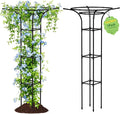 Garden Trellis for Climbing Plants Outdoor 65 Inch Mushroom Top Trellis for Climbing Plants Plant Trellis Support for Potted Plants Climbing Vine Rose Clematis Vegetable Trellis 1 Pack (1)