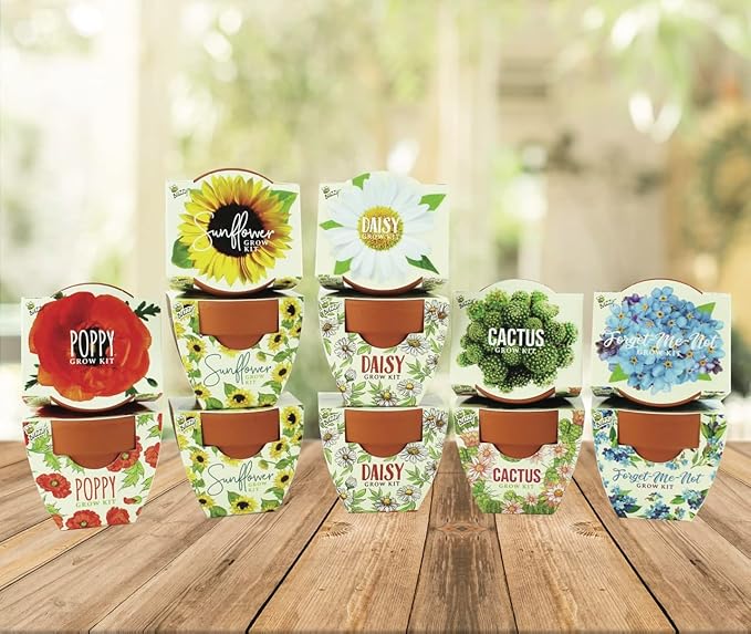 BUZZY Seeds Mini Terracotta Pots 12-Pack with Plant Seeds Poppy Sunflower Daisy Cactus and Forget Me Not All-in-One Seed Starter Kit Indoor Outdoor Gardening Gift Wedding Favors Mother's Day