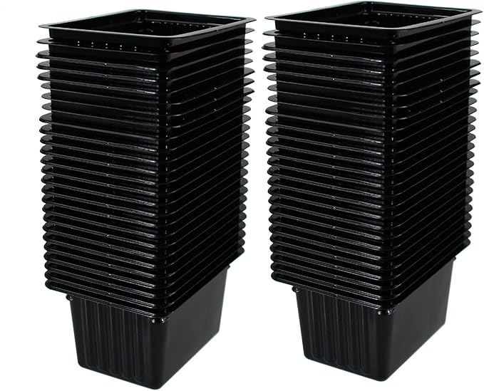Handy Pantry Micro Punnet Microgreens Single Serve Growing Trays - Pack of 50-2 by 3 - 2 High - Grow Micro Greens in Individual Serving Trays - Use with Micro Mat Punnet Pads