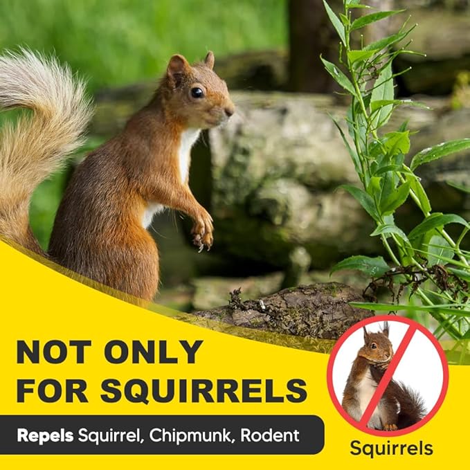 Squirrel Repellent Outdoor Chipmunk Repellent for Garden Attic &amp Bird Feeders Keep Squirrels and Chipmunks Away from Homes Cars &amp Garages 90 Days Protection Safe for Kids &amp Pets – 10