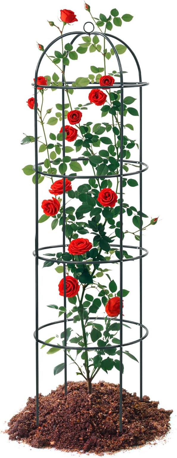 Trellis for Climbing Plants Outdoor 75 Tall Heavy Duty Metal Obelisk Garden Trellis Climbing Plant Support for Heavy Tomatos Cucumber Potted Vine Flower Rose Clematis Vegetable Pea Bean Trellises