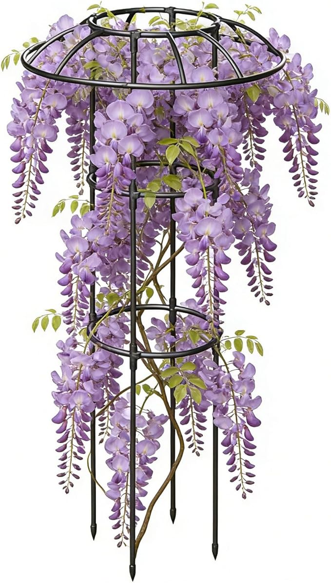 Garden Trellis - Stable Decorative Climbing Plants Support - Support Cage Umbrella Trellis - for Vine Rose Clematis Vegetable Dragon Fruit Cucumber Hydrangeas Jasmine