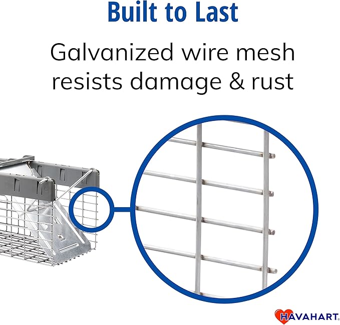 Havahart Small 1-Door Humane Live Catch and Release Animal Trap for Squirrels Weasels Chipmunks and Other Animals - Humane Catch and Release for Small Animals - 1026