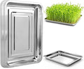 10-Pack 16 Inch Stainless Steel Growing Trays Heavy-Duty Metal Sprouting Tray for Plants Stainless Steel Plant Germination Trays for Hydroponics Transplanting (Silver)