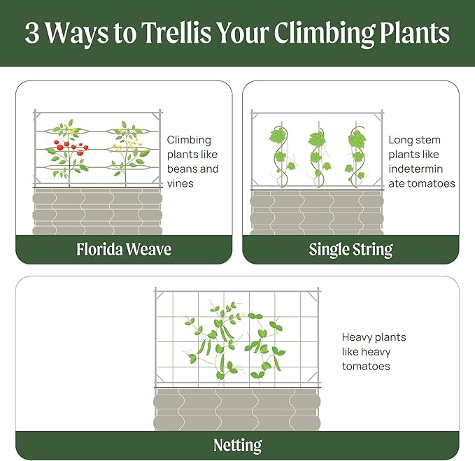 Vego Garden 5.0ft Long Tomato Metal Frame Trellis Garden Trellis for Climbing Plants Like Cucumber Beans Tomatoes &amp Vines (Garden Beds Not Included)