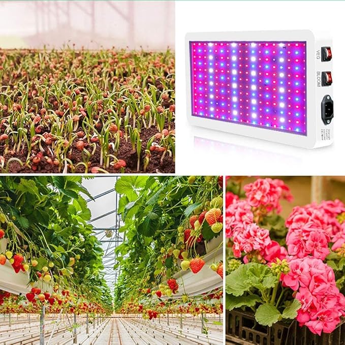 1000W LED Grow Light 261PCS LEDs Dual Switch Full Spectrum Plant Light Grow Lights for Indoor Hydroponic Plants Veg Flower Greenhouse Growing Lamps
