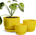 Ton Sin Ceramic Flower PotsYellow Plant Pots for Indoor Plants4.1+5.1+6.5 inch Ceramic Plant Pots with TrayMedium Indoor Planters for Aloe Cactus Decorative Pots with Drainage Hole (Set of 3)