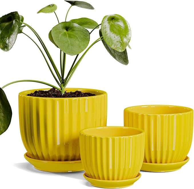 Ton Sin Ceramic Flower PotsYellow Plant Pots for Indoor Plants4.1+5.1+6.5 inch Ceramic Plant Pots with TrayMedium Indoor Planters for Aloe Cactus Decorative Pots with Drainage Hole (Set of 3)