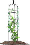 SlickBlue Garden Trellis 2 Pack Rustproof Metal Plant Support for Outdoor Climbing Vines and Flowers