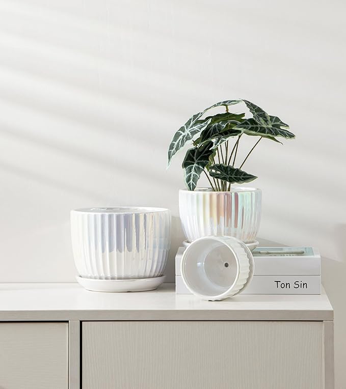 Ton Sin White Plant PotsPearl Gold Ceramic Flower Pots 4+5+6 Inch Indoor Succulent Pot with Drainage Hole - Decorative Orchid Pots and Herb Pots Set of 3