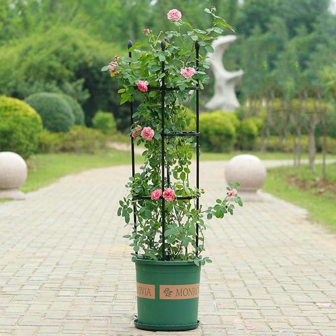 5.6 Feet Obelisk Garden Trellis Multi-Function Trellis Plant Support Indoor and Outdoor Pot for Climbing Vines Rose Tomatoes Plants Black1 173cm (210401YF53-2-10019-1722390261)