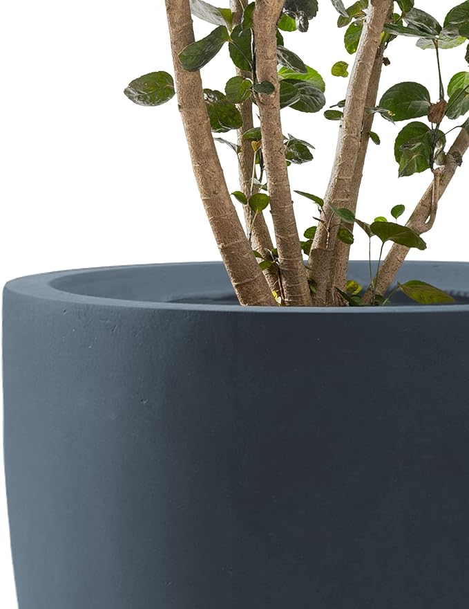 Kante 2016.513.4 Dia Round Concrete Planters (Set of 3) Outdoor Indoor Modern Decorative Plant Pots with Drainage Hole &amp Rubber Plug for Home &amp Garden Charcoal