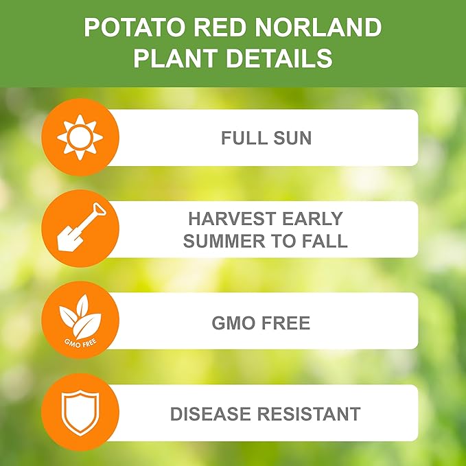 Garden State Bulb Red Norland Seed Potatoes for Planting Non-GMO (5LB Bag)