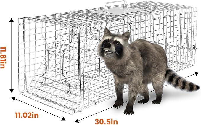 31 Humane Live Animal Cage Trap Heavy Duty Folding Cat Trap for Stray Cats Raccoons Squirrels Skunks Groundhogs Moles Opossums Rabbits and More – Catch and Release