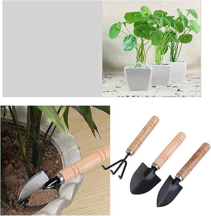 3Pcs Garden Tool Set - Compact Rake Shovel and Spade with Wooden Handle for Indoor Gardening(Large)