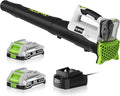 Leaf Blower Cordless with 2x2.0Ah Batteries and Fast Charger 21V Lightweight Electric Leaf Blower Portable Handhold Battery Powered Blowers for Lawn Care Patio Cleaning Blowing Leaves and Dust