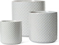LE TAUCI Ceramic Pots for Plants 10/8/6 Inch Indoor Planters with Draiange Hole Silicone Plug &amp Mesh Pad Modern Rasied-Dots Pots for Home Office Set of 3 Glossy Star Gray