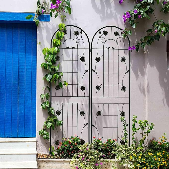 Garden Trellis for Climbing Plants 2-Pack Metal Arched Trellis Iron Plant Support for Roses Vines Outdoor Decor Easy Assembly Flower Lattice for Patio Yard