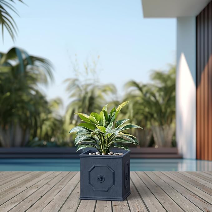Kante Square Lion Head Concrete Planter Classic English Style Plant Pot with Drainage Hole and Rubber Plug for Indoor Outdoor Garden Patio Home 10.2x10.2x 10.2Gravel Gray