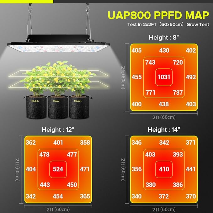 UAP800 80W LED Grow Light New-gen Lens Full Spectrum Dimmable Daisy Chain Plant Light for Indoor Plant Growing Deeper Penetration Grow Lights for Seed Starting Vegetables Bloom in 2x2ft Grow Tent