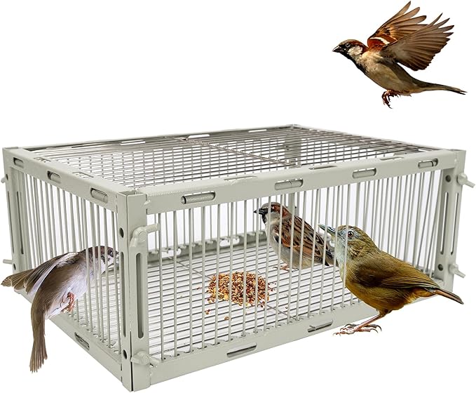 Universal Sparrow Trap Cage – Birds Trap Cage with Escape-Proof Design One Way Bird Catcher Traps for Starlings Quail Cardinals and So OnMade from Rust-Resistant Metal for Long-Lasting Use