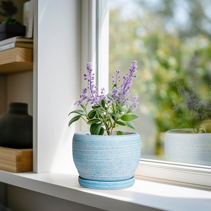 SQOWL Ceramic Planters for Indoor Plants - 6 Inch Plant Pot Indoor Outdoor Decorative Flower Pot with Drainage Hole and Saucer Round Succulent Planter Home Apartment Decor Garden Gifts Blue