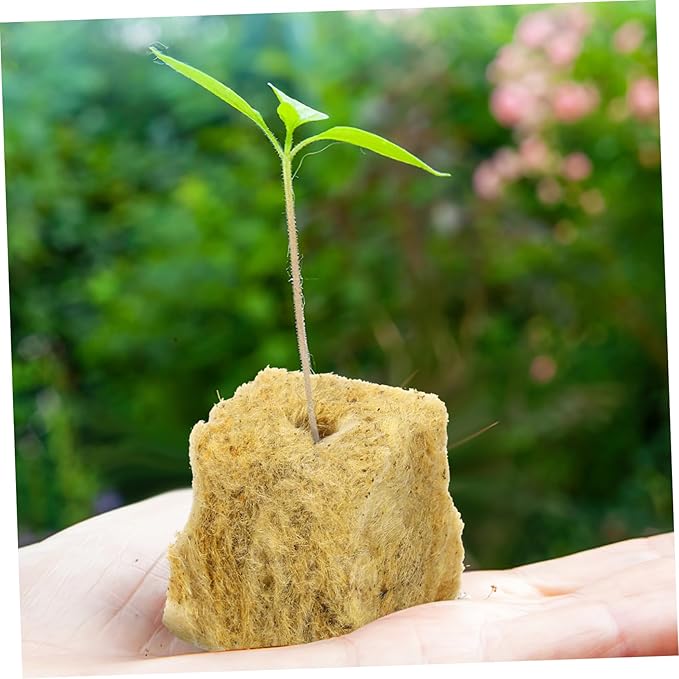 100Pcs Plant Grow Cubes Starter Plugs for Hydroponics Soilless Culture Propagation Material for Indoor Gardening High Germination Rate for Plant