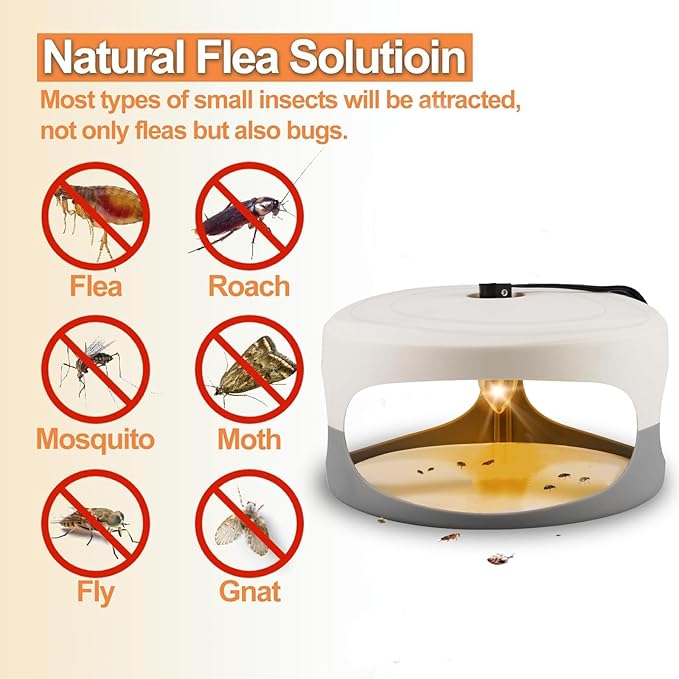 4 Packs Flea Traps for Inside Your Home Effective Flea Trap for Home &amp Garage with 12 Sticky Disc 12 Bulbs 4 Electric Wires Bed Bug with Light for Indoor Safe to Pets