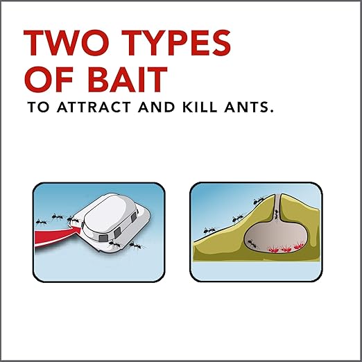 Raid Max Double Control Ant Baits Dual Bait Technology 8 Count (Pack of 4)