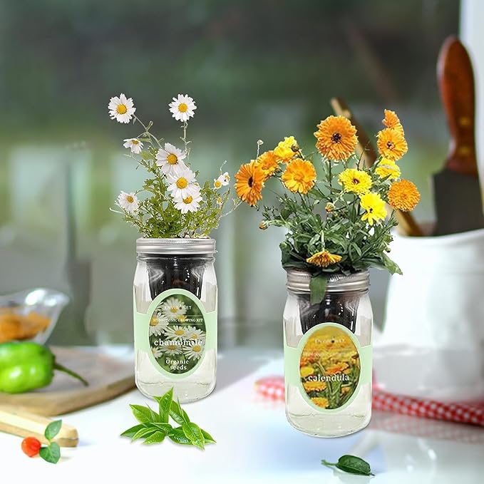 2-Pack Hydroponic Mason Jar Herb Garden Kit Indoor Herb Garden Self-Watering Starter Kit New Christmas Gift for Mom (CalendulaChamomile)