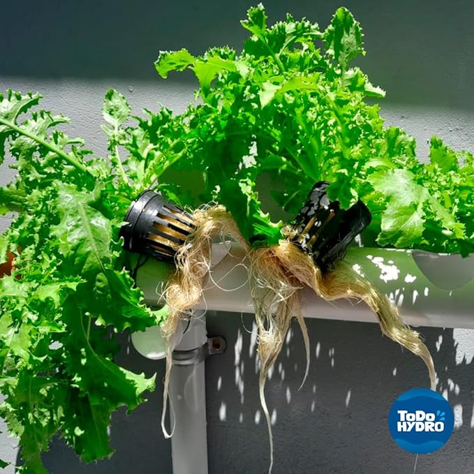 Hydroponic Kit N9 NFT System for 32 Plants Complete Indoor Garden with Nutrients Seeds &amp Accessories