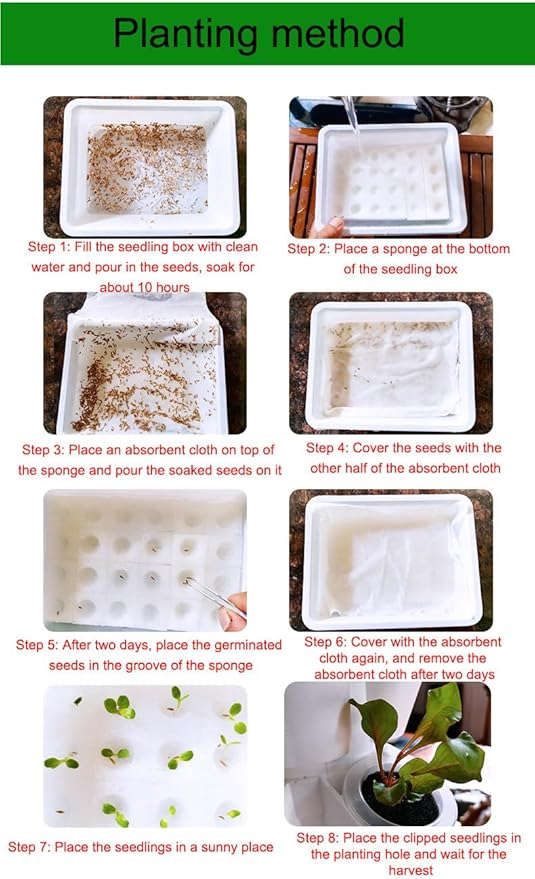 Hydroponics Growing System6/8/10/12 Layers Garden Hydroponics Growing Sys Hydroponics Tower Aeroponics Grow Kit Planting Sysfor Gardening Lover for Fruits VegetablesWhite-12LAYE