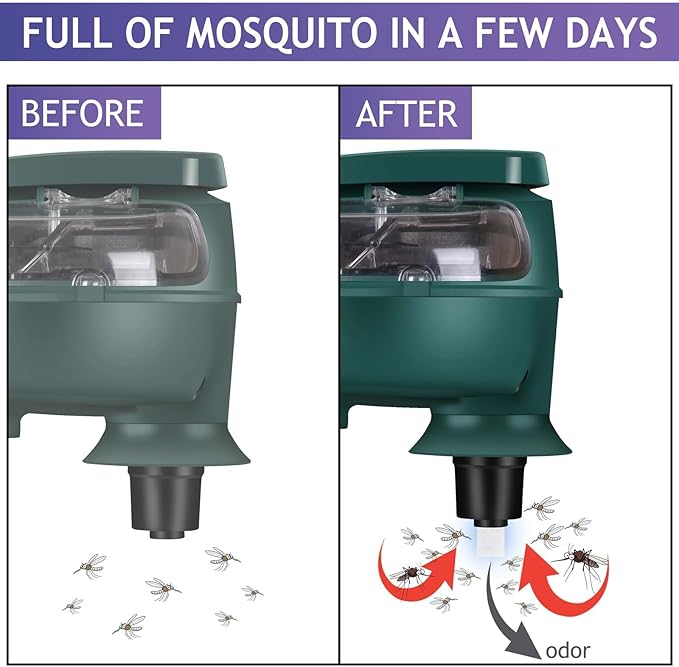 6 Pack Mosquito Attractant Bait Refill Mosquito Bait Lure for Bug Zapper &amp Fly Traps Compatible with All Flying Insect Mosquitoes Trap
