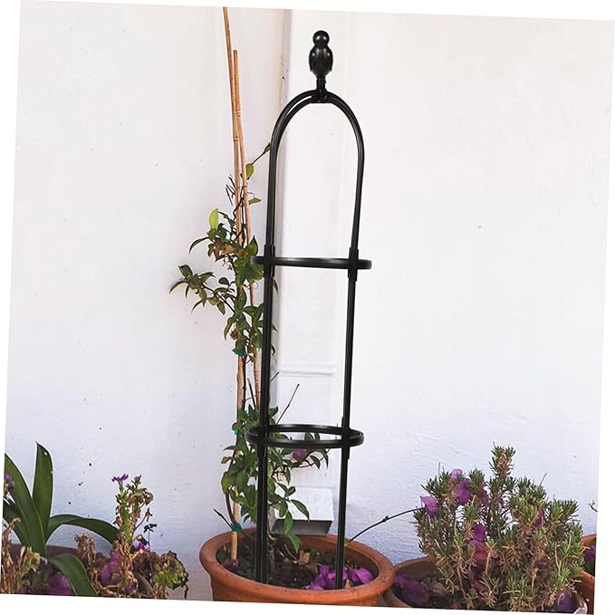 Sturdy Garden Trellis for Climbing Plants Outdoor Indoor Smooth Polished Plant Support Rack for Potted Vines Weather-Resistant Climbing Vine Frame Height