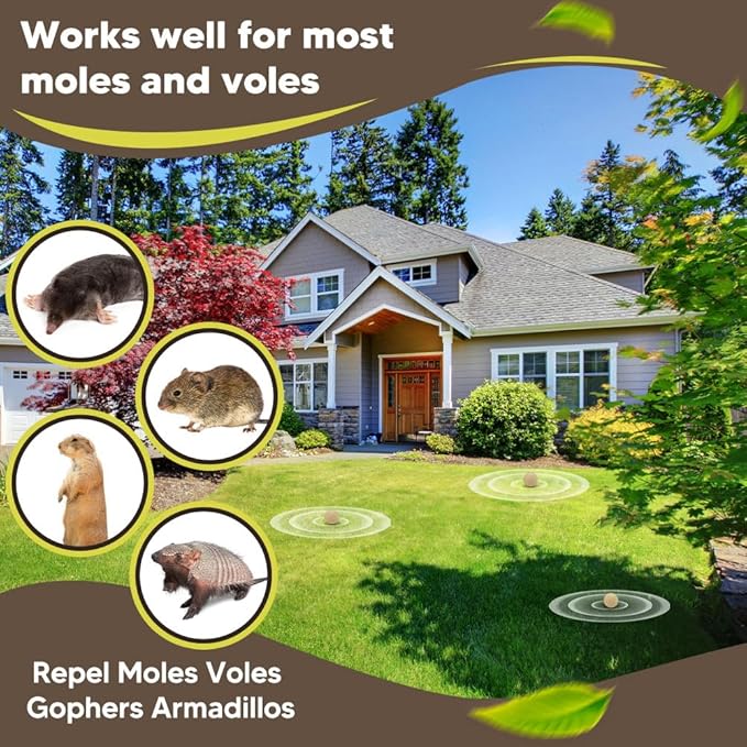 Mole Repellent for Lawns Groundhog Repellent Outdoor Armadillo Repellent Mole Deterrent for Yard Vole Repellent Outdoor Gopher Repellent Safe for Family &amp Pets 8 Packs