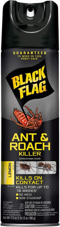 Black Flag Ant &amp Roach Killer Aerosol Lemon Scent 17.5-Ounce 12-Pack