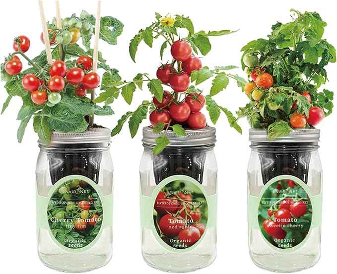 Hydroponic Mason Jar Indoor Garden Organic Seed Starter Kits - Tomato Trio Garden Growing Kits Gardening Gift (Red Robin Tomato Cherry Tomato - Tiny Tim Sweetie Cherry Tomato)
