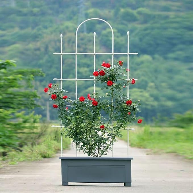 Garden Trellis And Tomato Cages Plant Supports Plant Trellis For Climbing Plants Indoor Outdoor Plant Cages For Flower Vegetable Vines Plant Trellis For Potted Plants(Color:WhiteSize:150cm/59)