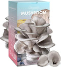 Organic Edible 4lbs Oyster Mushroom Growing Kit Made in USA Double-Side Mushroom Grow Kit Indoor Harvest Gourmet Mushrooms in 10 Days Top Gardening Gift Holiday Gift