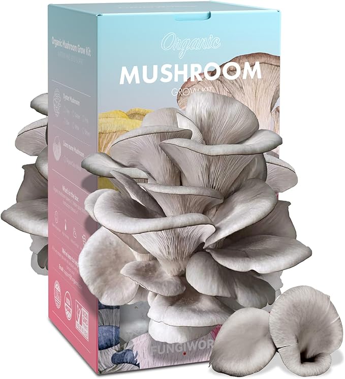 Organic Edible 4lbs Oyster Mushroom Growing Kit Made in USA Double-Side Mushroom Grow Kit Indoor Harvest Gourmet Mushrooms in 10 Days Top Gardening Gift Holiday Gift