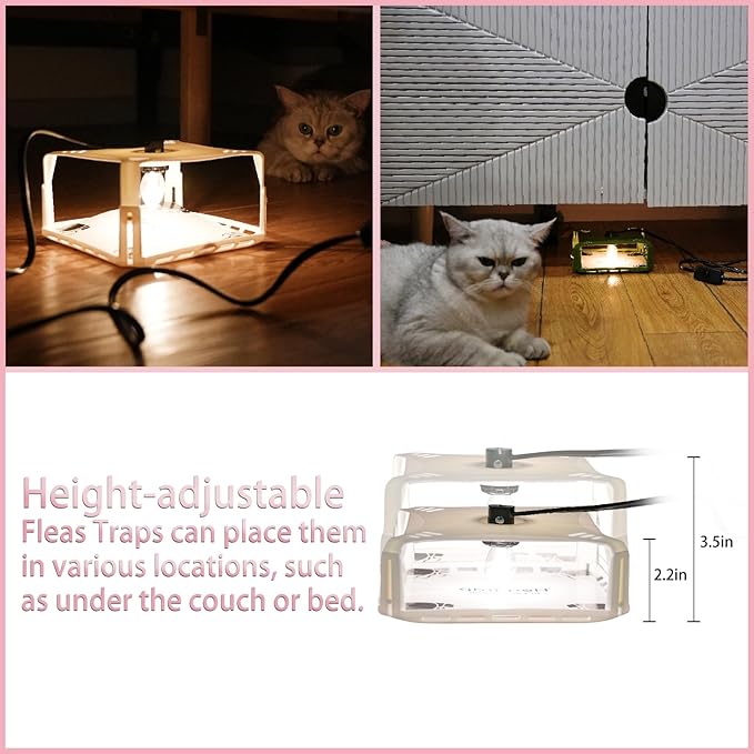 Flea Traps for Inside Your Home 2 Packs Flea Trap with Light for Indoor Bed Bug Flea Killer Pest Control Non Toxic &amp Harmless Friendly to Pets &amp Kids with 6 Sticky Refills and 6 Lightbulb