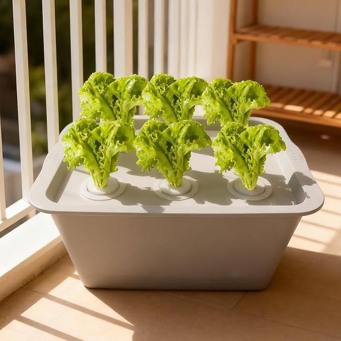 Hydroponic Growing Box Self Watering Soilless Cultivation Equipment Aerated Garden Cabinet Box for Lettuce Vegetables Suitable for Family Gardening Pa
