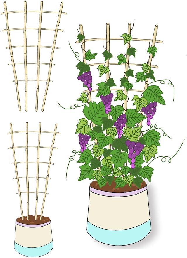 Natural Bamboo Trellis 4.8Feet3PackFan-Shaped Plant Support Trellis for Outdoor and Indoor Potted Climbing PlantsVegetables Cucumber Tomato Hoya
