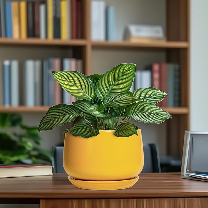 G EPGardening Ceramic Pots for Plants - 7 Inch Plant Pot with Drainage Hole and Saucer Modern Ceramic Planter for Indoor Outdoor Round Flower Planter Gifts for Plants Lovers Home Decor Yellow