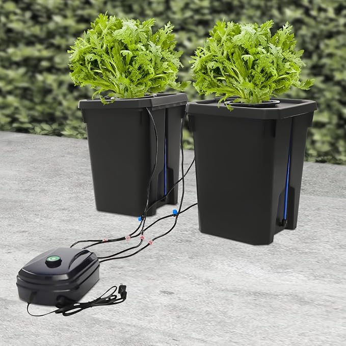 5 Gallon Deep Water Culture Bucket System- Complete 2 Bucket DWC Hydroponics Kit with 12W Air Pump Net Pots &amp Clay Pebbles Ideal for Indoor Gardening of Tomatoes Lettuce Strawberries