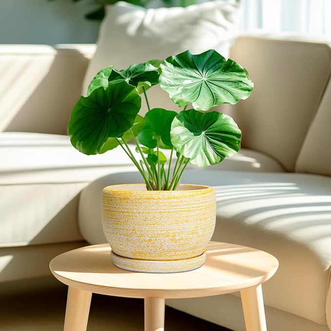 SQOWL Ceramic Flower Pots - 8 inch Plant Pot Indoor with Drainage Hole and Saucer Modern Ceramic Planter Outdoor Round Decorative Planter Living Room Home Decor Gifts for Plant Lovers Yellow