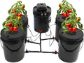 DWC Hydroponics Growing System Kit 5 Gallon 4 Buckets Recirculating Deep Water Culture and Top Drip Hydroponic System with Air Pump Air Stone for Indoor Outdoor Leafy Vegetables