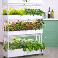 Indoor Garden Hydroponic Growing System3/4 Tier Hydroponics Tower SetHydroponic PlanterPlant Vertical HydroponicsSuitable for Planting Leafy VegetablesStem Vegetables 90holes